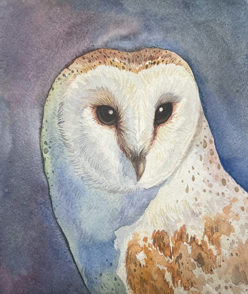 Watercolor painting of a barn owl