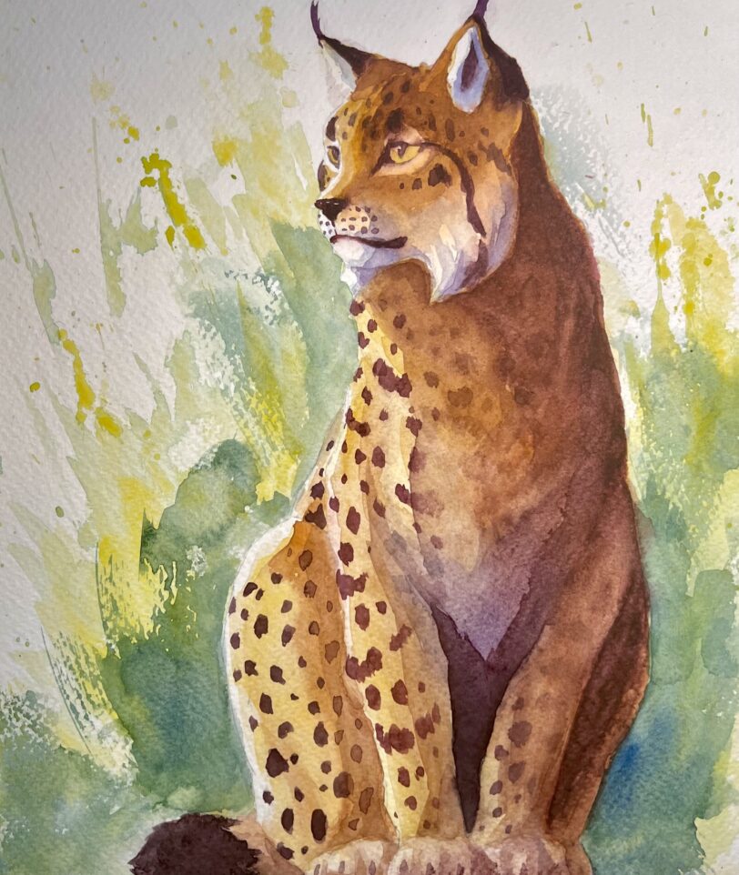 Watercolor painting of a lynx