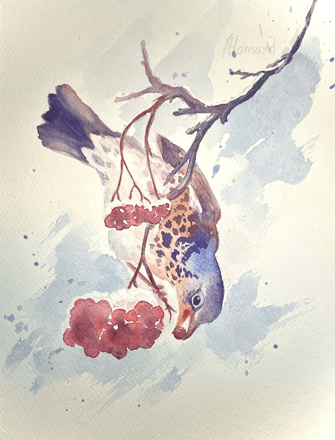 Watercolour painting of a bird on a branch eating berries