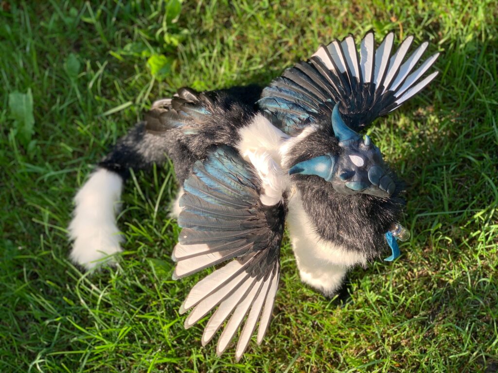 Poseable fantasy dragon art doll with magpie wings
