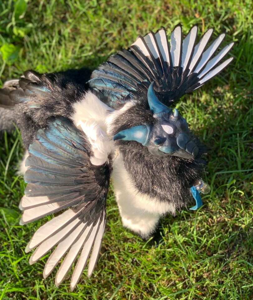 Poseable fantasy dragon art doll with magpie wings