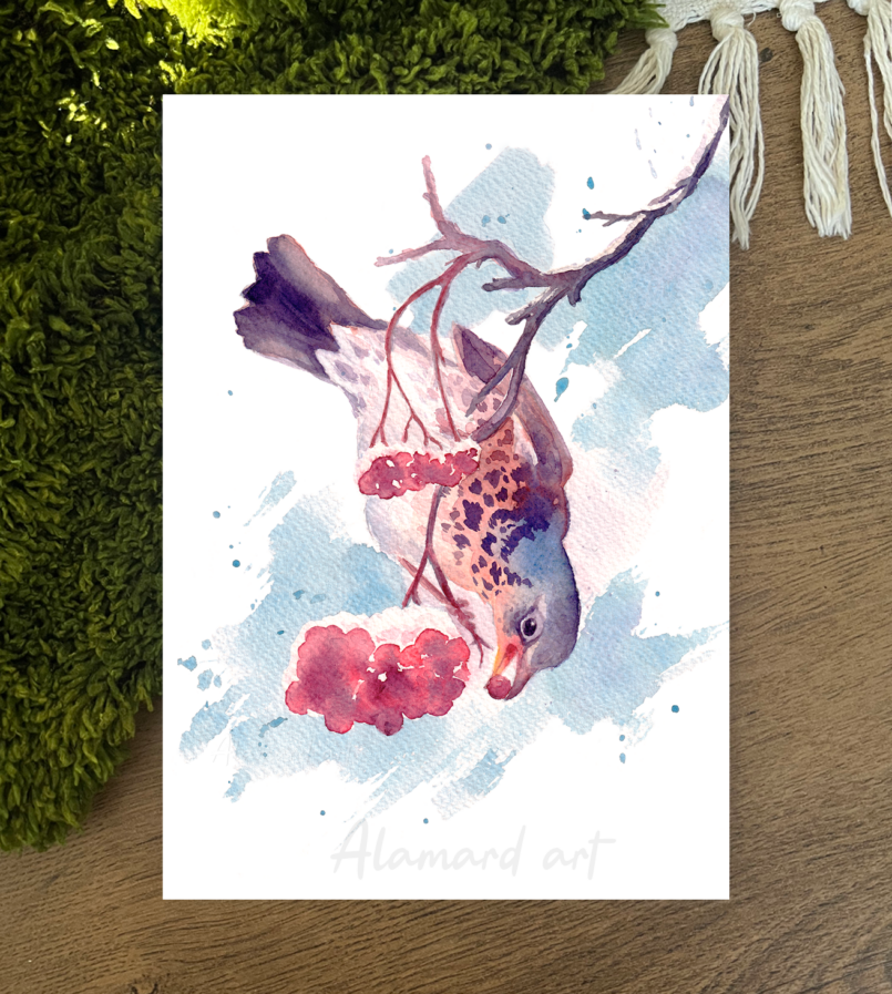 Print – Fieldfare with berries