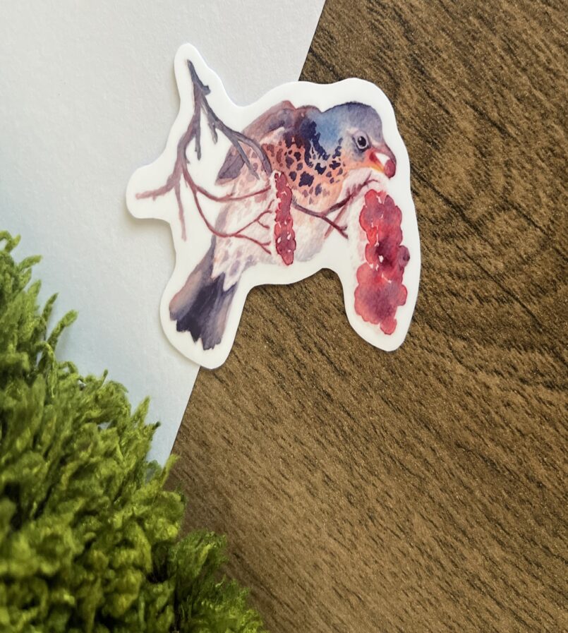 Sticker – Fieldfare with berries