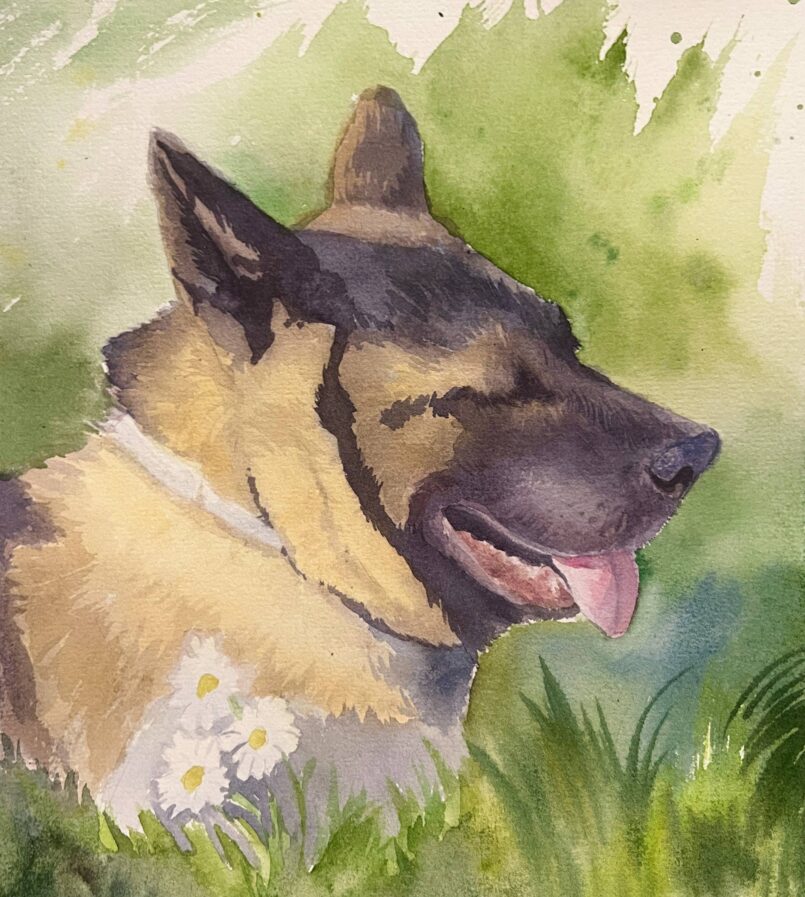 Dog watercolor portrait